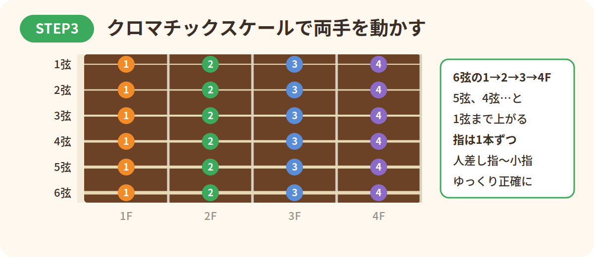STEP3 クロマチックスケールの指使い:各弦の1〜4フレットを人差し指から小指で順番に押さえる