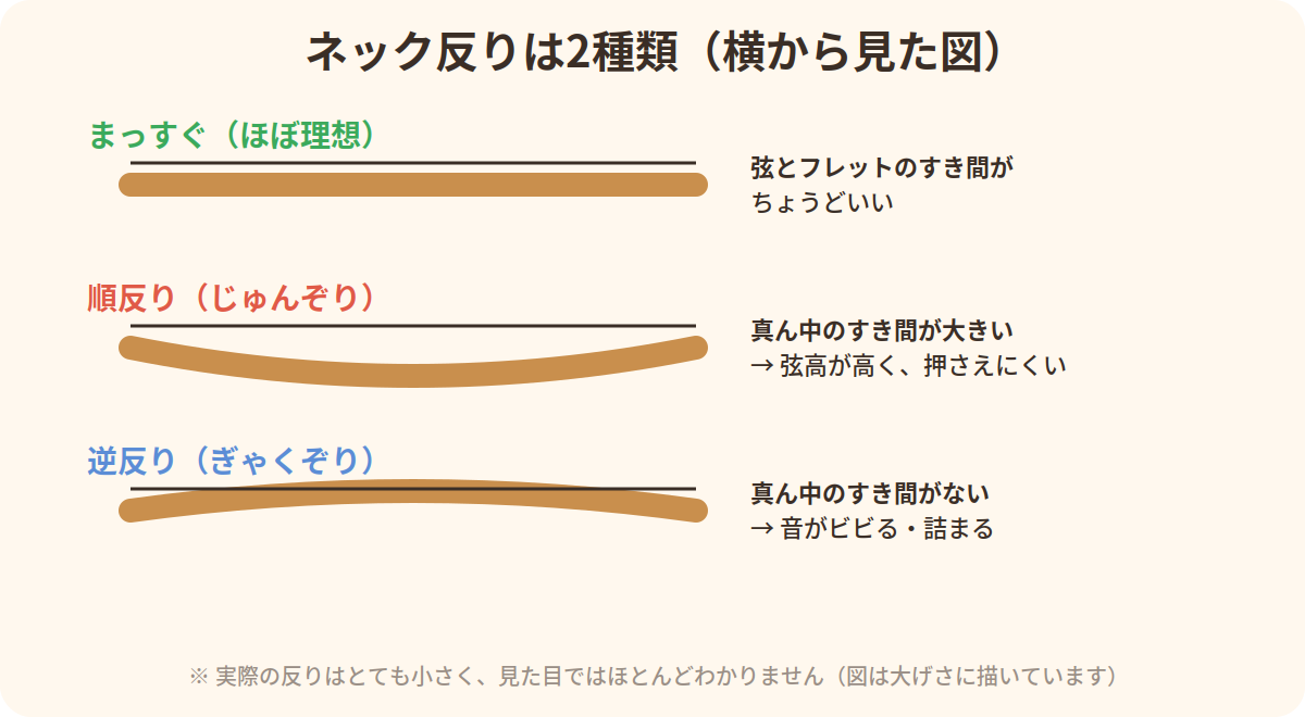 ネック反りの2種類：まっすぐ、順反り（真ん中のすき間が大きい）、逆反り（真ん中のすき間がない）