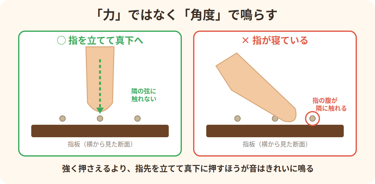 弦の押さえ方の比較：指を立てて真下に押すと隣の弦に触れない、指が寝ていると指の腹が隣の弦に触れる